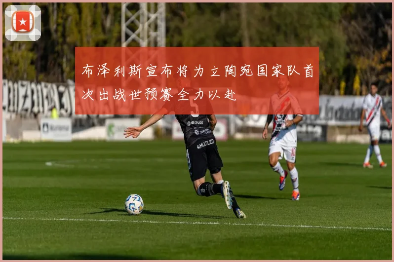 布泽利斯宣布将为立陶宛国家队首次出战世预赛全力以赴