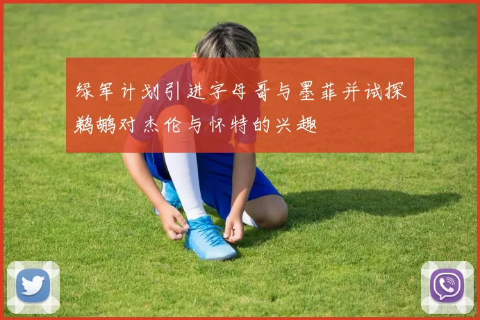 绿军计划引进字母哥与墨菲并试探鹈鹕对杰伦与怀特的兴趣